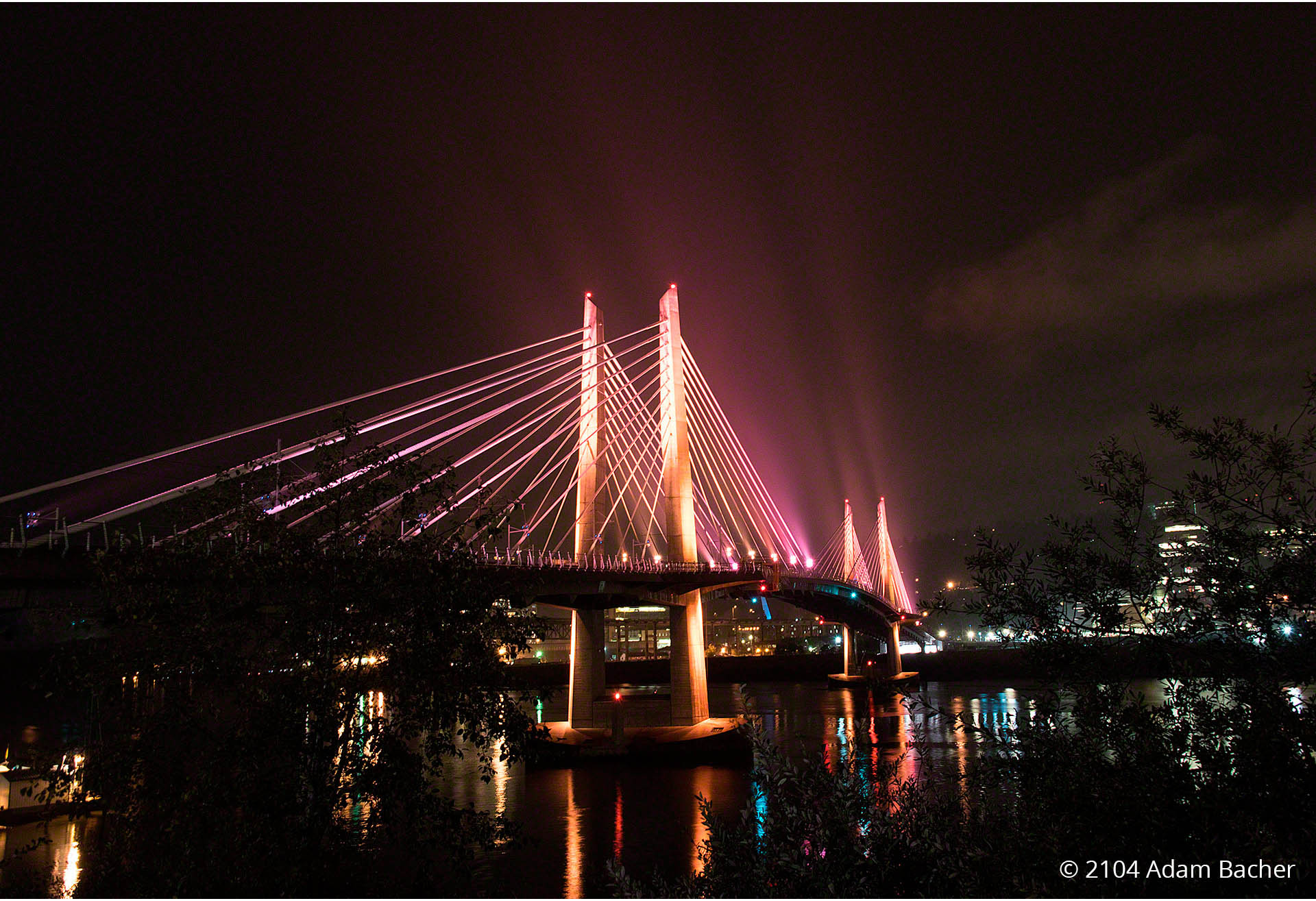 Tilikum Crossing Bridge - Portland Oregon