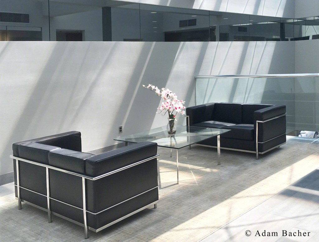 lobby-table-and-chairs-with-flowers lobby coffee table and chairs in sunlight with shadows